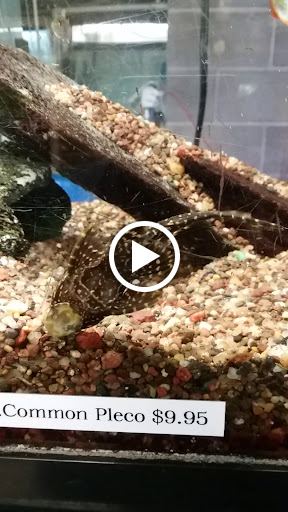 Pet Store «Marineland Pet Center», reviews and photos, 412 Oak Forest Dr, Onalaska, WI 54650, USA