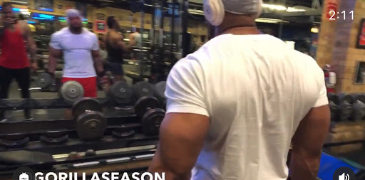 Gym «Quads Gym», reviews and photos, 3727 North Broadway, Chicago, IL 60613, USA