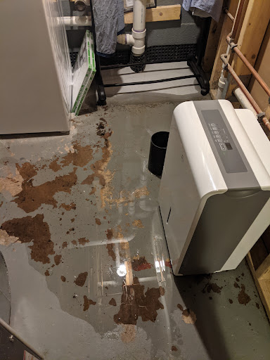 Real Estate Agency «Nomadic Real Estate», reviews and photos, 727 15th St NW #210, Washington, DC 20005, USA