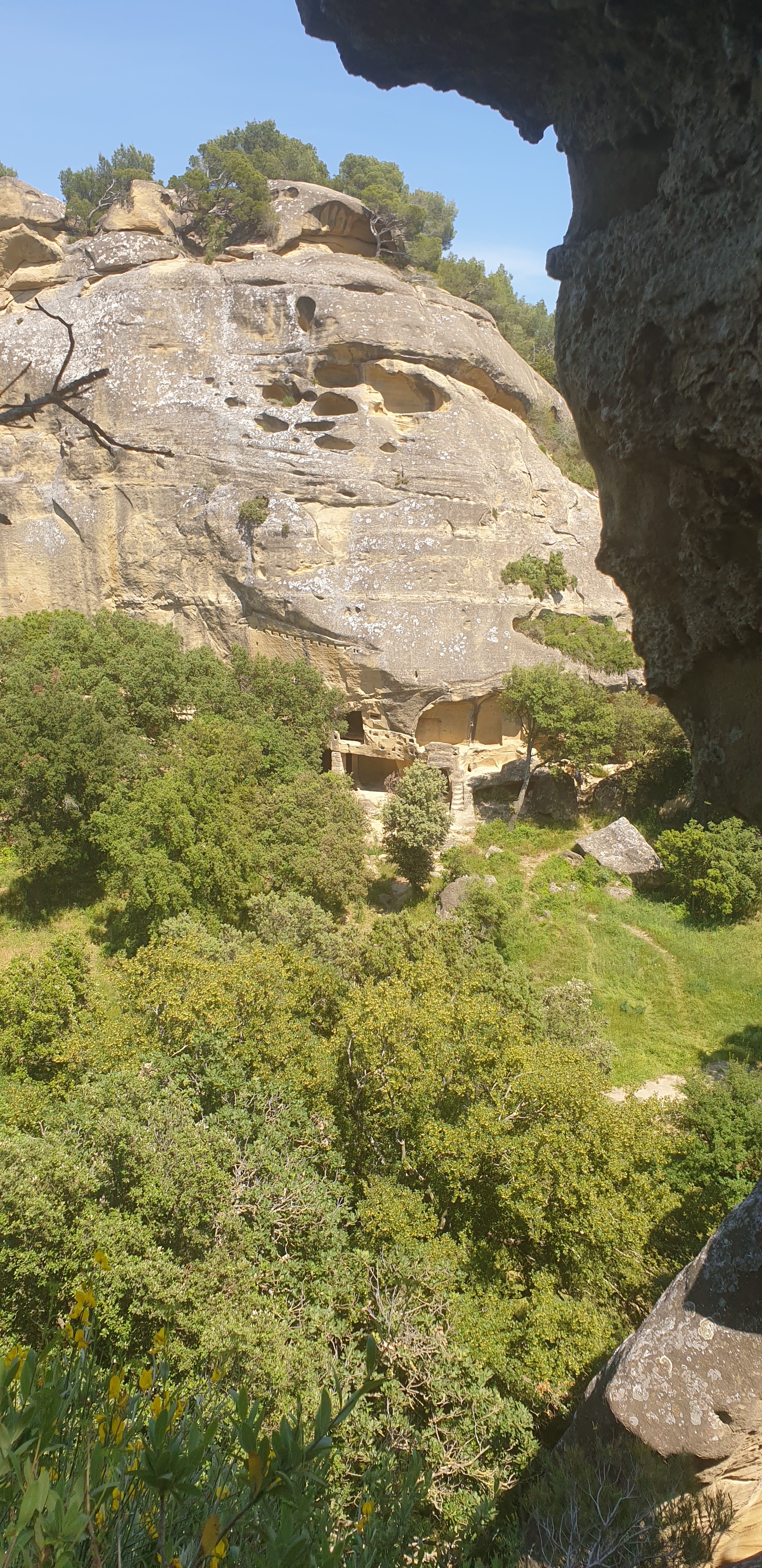 Photo n° 5 de l'avis de Mélanie.I fait le 21/05/2020 à 14:37