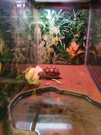 Pet Store «The Enclosure», reviews and photos, 1820 Golden Mile Hwy, Pittsburgh, PA 15239, USA