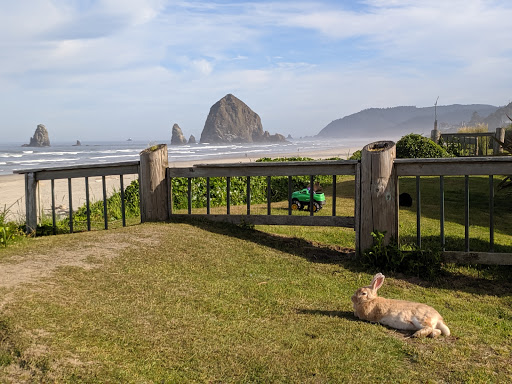 Coffee Shop «Sea Level Bakery + Coffee», reviews and photos, 3116 S Hemlock St, Cannon Beach, OR 97103, USA