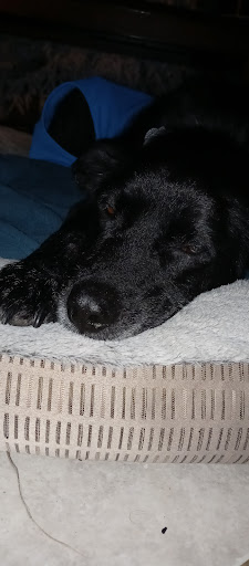 Sporting Goods Store «Academy Sports + Outdoors», reviews and photos, 61107 Airport Rd, Slidell, LA 70460, USA