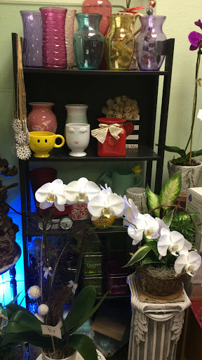 Florist «Edgewood Flowers», reviews and photos, 4927 S Orange Ave, Orlando, FL 32806, USA