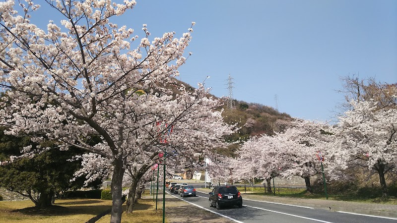 Rsk バラ園 岡山県岡山市北区撫川 植物園 公園 グルコミ
