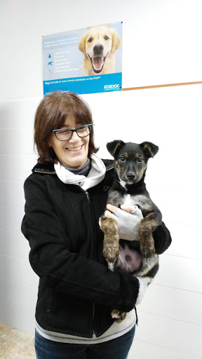 Clínica Veterinaria Salud Animal Requena en Requena