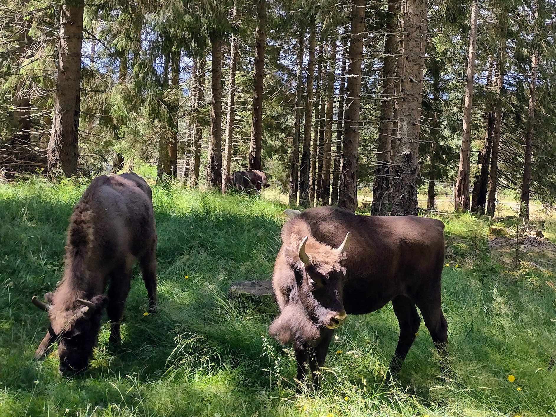 Photo n° 1 de l'avis de Anaïs.o fait le 17/07/2023 à 11:34