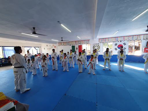 Taekwondo ITOM Reynosa