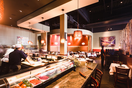 Kotta Sushi Lounge