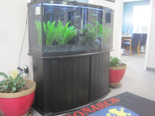 Used Car Dealer «Monarch Auto Sales», reviews and photos, 4519 W Market St #100, Greensboro, NC 27407, USA