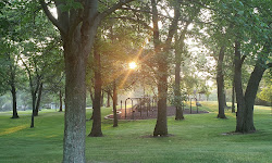 Arbor Hills Park