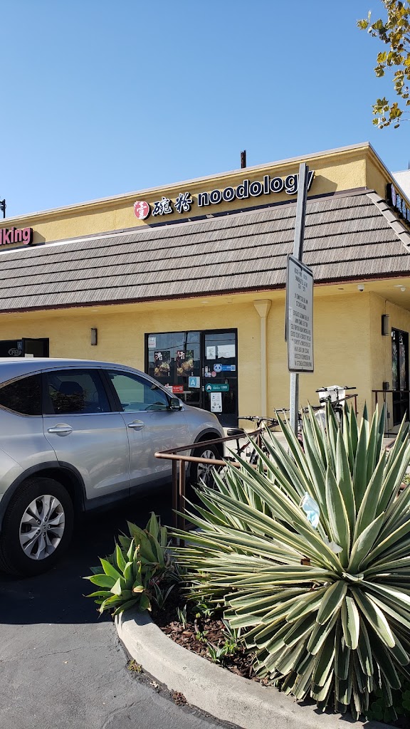 Noodology 91776