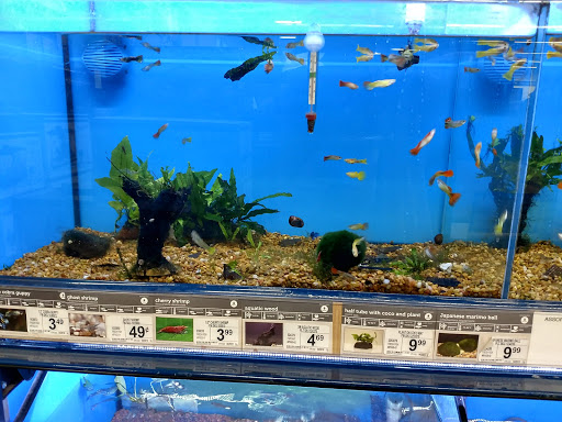 Pet Supply Store «Petco Animal Supplies», reviews and photos, 21348 Kuykendahl Rd, Spring, TX 77379, USA