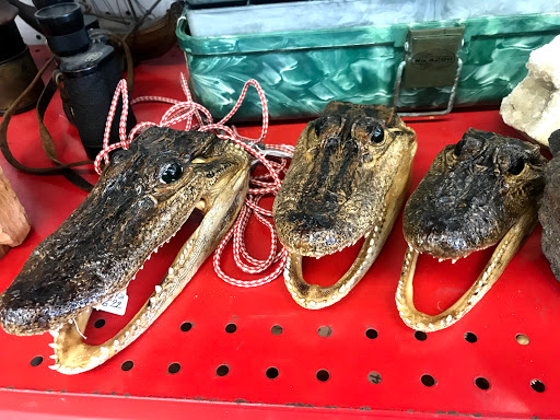 Antique Store «Coronado Antiques Mall», reviews and photos, 1433 S Dixie Fwy, New Smyrna Beach, FL 32168, USA