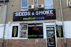 Medical Seeds Brno Čechyňská HHC, HHCP, THCP, CBD, kratom, seedshop, kuřácké potřeby, smokeshop, semena konopí image