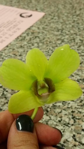 Florist «Flowers by Emil», reviews and photos, 7305 18th Ave, Brooklyn, NY 11204, USA