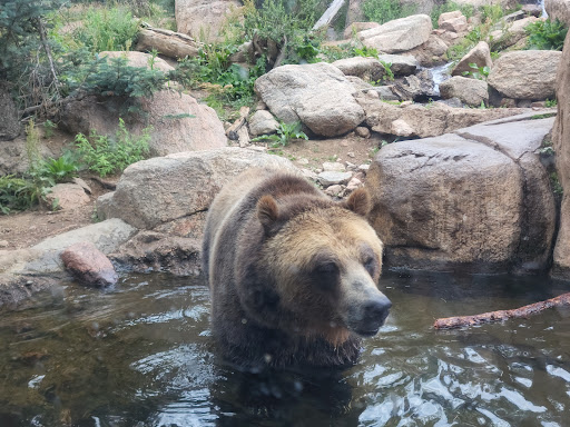 Zoo «Cheyenne Mountain Zoo», reviews and photos, 4250 Cheyenne Mountain Zoo Rd, Colorado Springs, CO 80906, USA