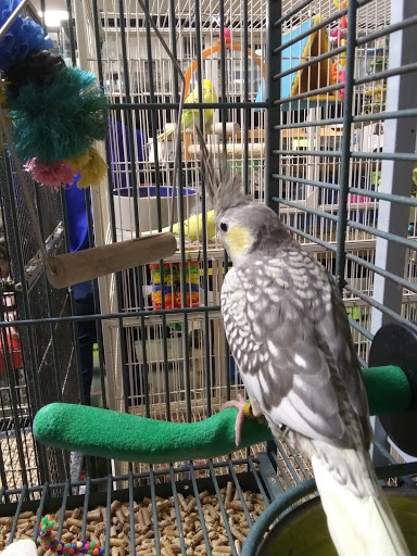 Pet Store «Pet Zone», reviews and photos, 8925 Jewella Ave #4, Shreveport, LA 71118, USA