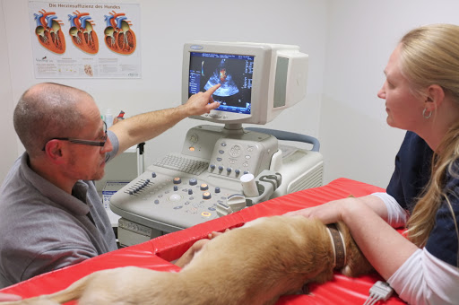 Tierärztliche Praxis für Kleintiere Dr. med. vet. Uwe Dlouhy unter Lauf an der Pegnitz, Bayern