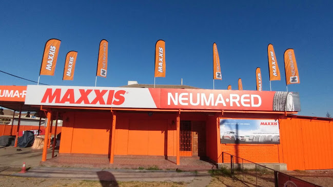 Neumared Maxxis