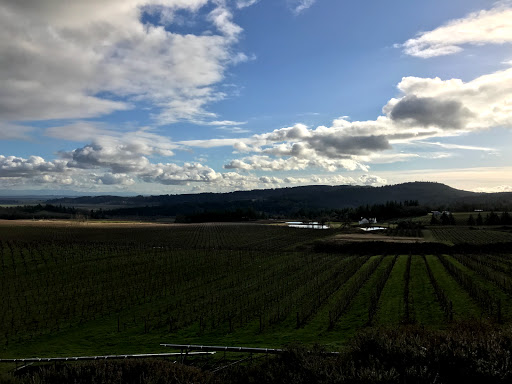 Winery «Bethel Heights Vineyard», reviews and photos, 6060 Bethel Heights Rd NW, Salem, OR 97304, USA