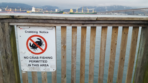 Park «New Brighton Park», reviews and photos, 3201 New Brighton Rd, Arden Hills, MN 55112, USA