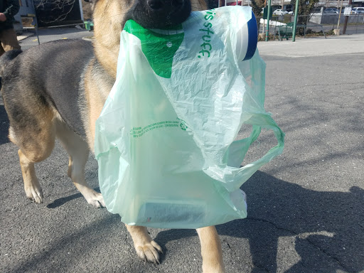 Pet Supply Store «Pet Supplies Plus», reviews and photos, 1170 Northern Blvd, Manhasset, NY 11030, USA