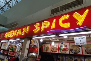 Indian Spicy Masala image