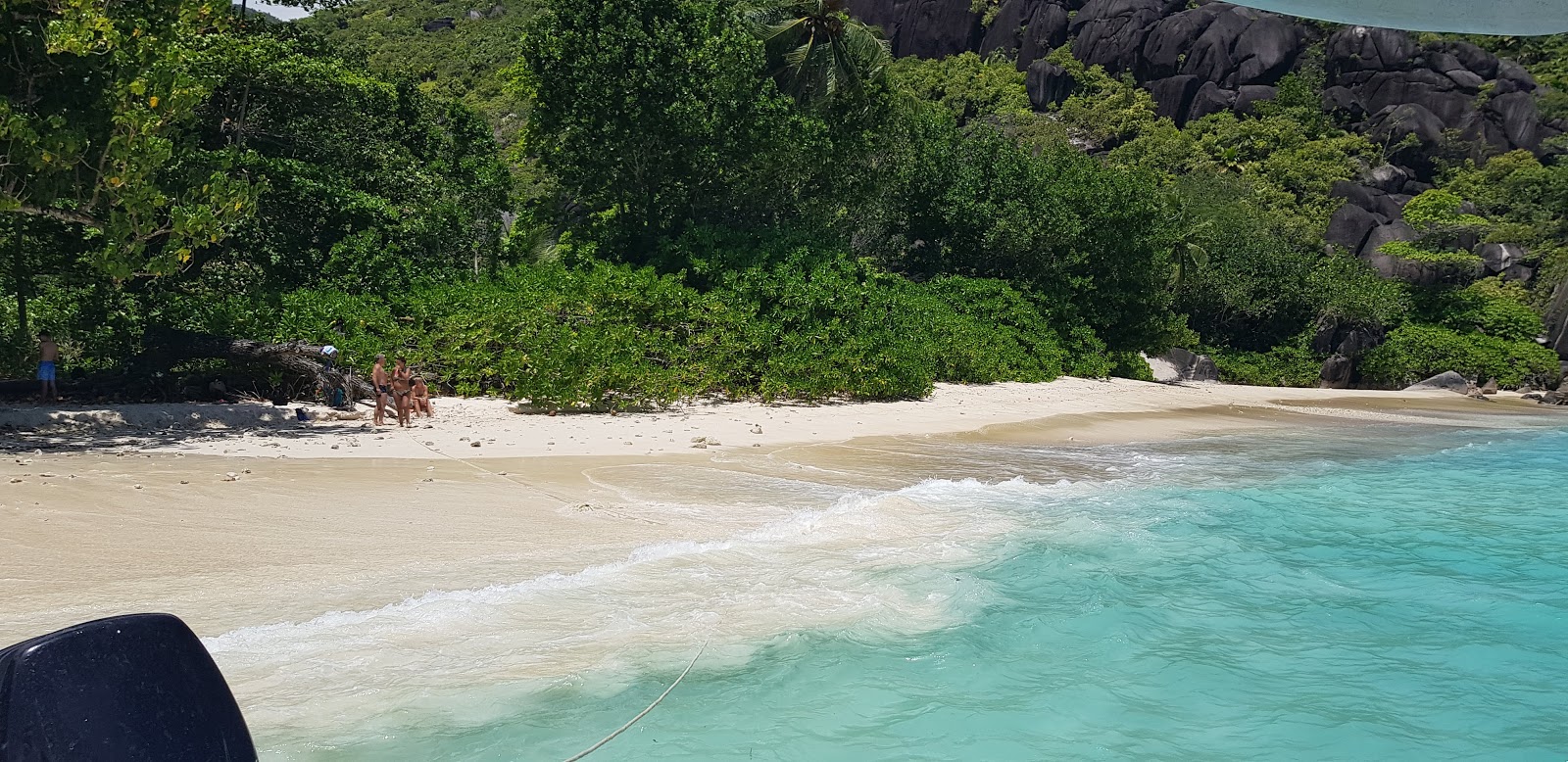 Foto di Anse Du Riz Beach con una superficie del sabbia beige fine