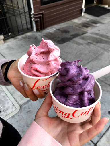 Frozen Yogurt Shop «Loving Cup», reviews and photos, 2356 Polk St, San Francisco, CA 94109, USA