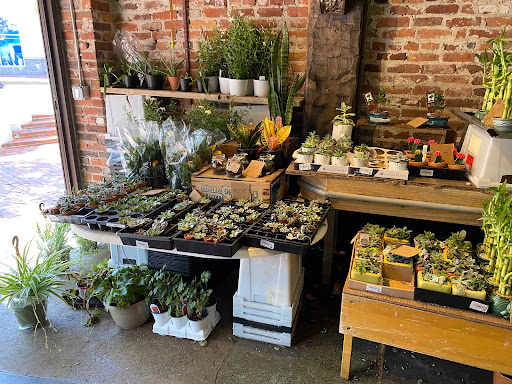 Florist «Brattle Square Florist», reviews and photos, 31 Brattle St, Cambridge, MA 02138, USA