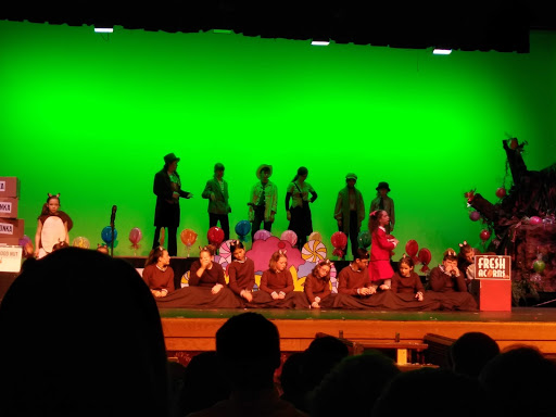 Performing Arts Theater «Cutting Hall Performing Arts Center», reviews and photos, 150 E Wood St, Palatine, IL 60067, USA