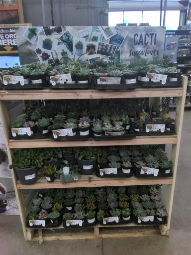 Home Improvement Store «The Home Depot», reviews and photos, 25451 Michigan Ave, Dearborn Heights, MI 48125, USA