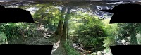 高尾山登山道 6号路