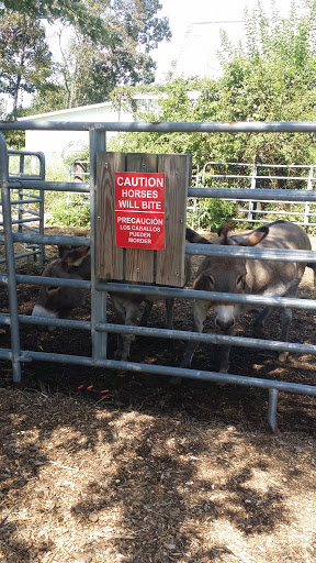 Farm «B & B Flower Farm», reviews and photos, 668 Jones Hill Rd, West Haven, CT 06516, USA