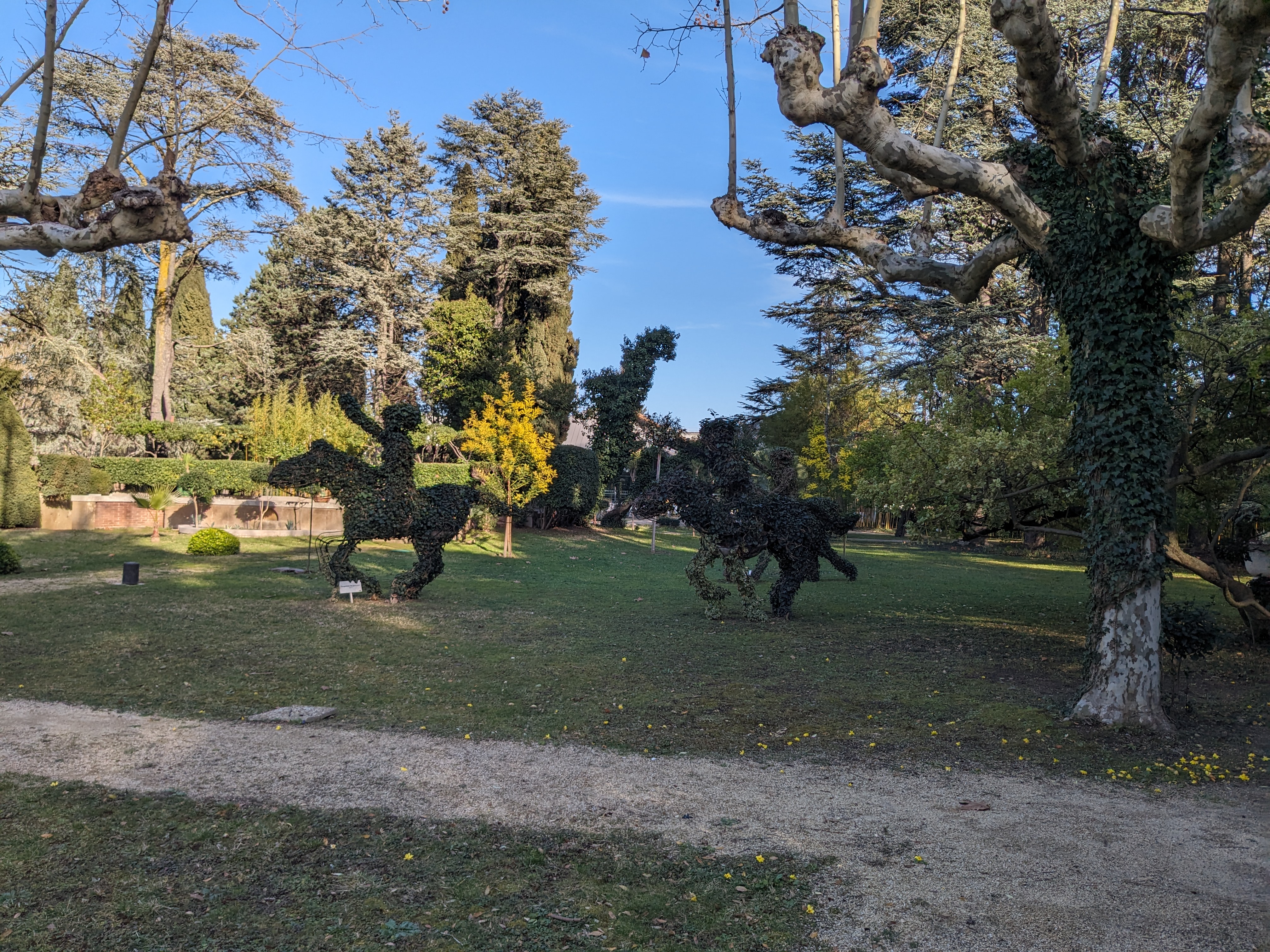 Photo n° 5 de l'avis de Anne.e fait le 18/02/2024 à 09:33