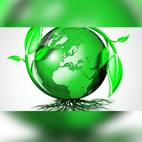 Joe’s eco friendly cleaning service - Photo 7 - Car repair in Elmhurst, NY, Queens