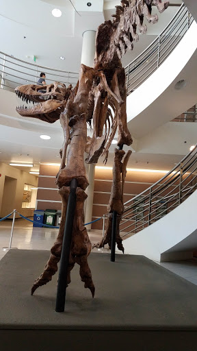 Natural History Museum «Museum of Paleontology», reviews and photos, 1101 Valley Life Sciences Bldg, Berkeley, CA 94720, USA