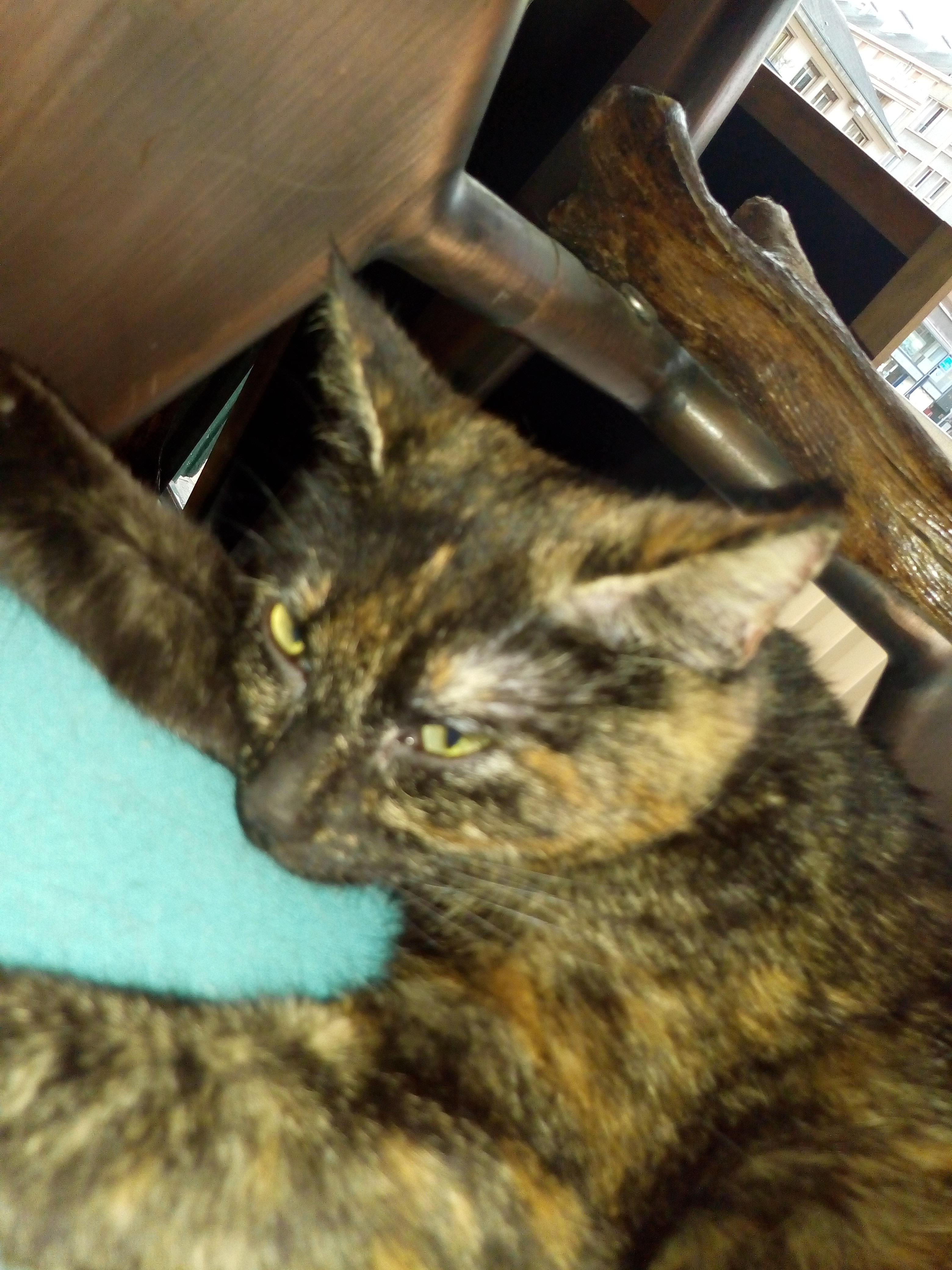 Photo n° 3 de l'avis de Carole.a fait le 15/03/2019 à 18:22