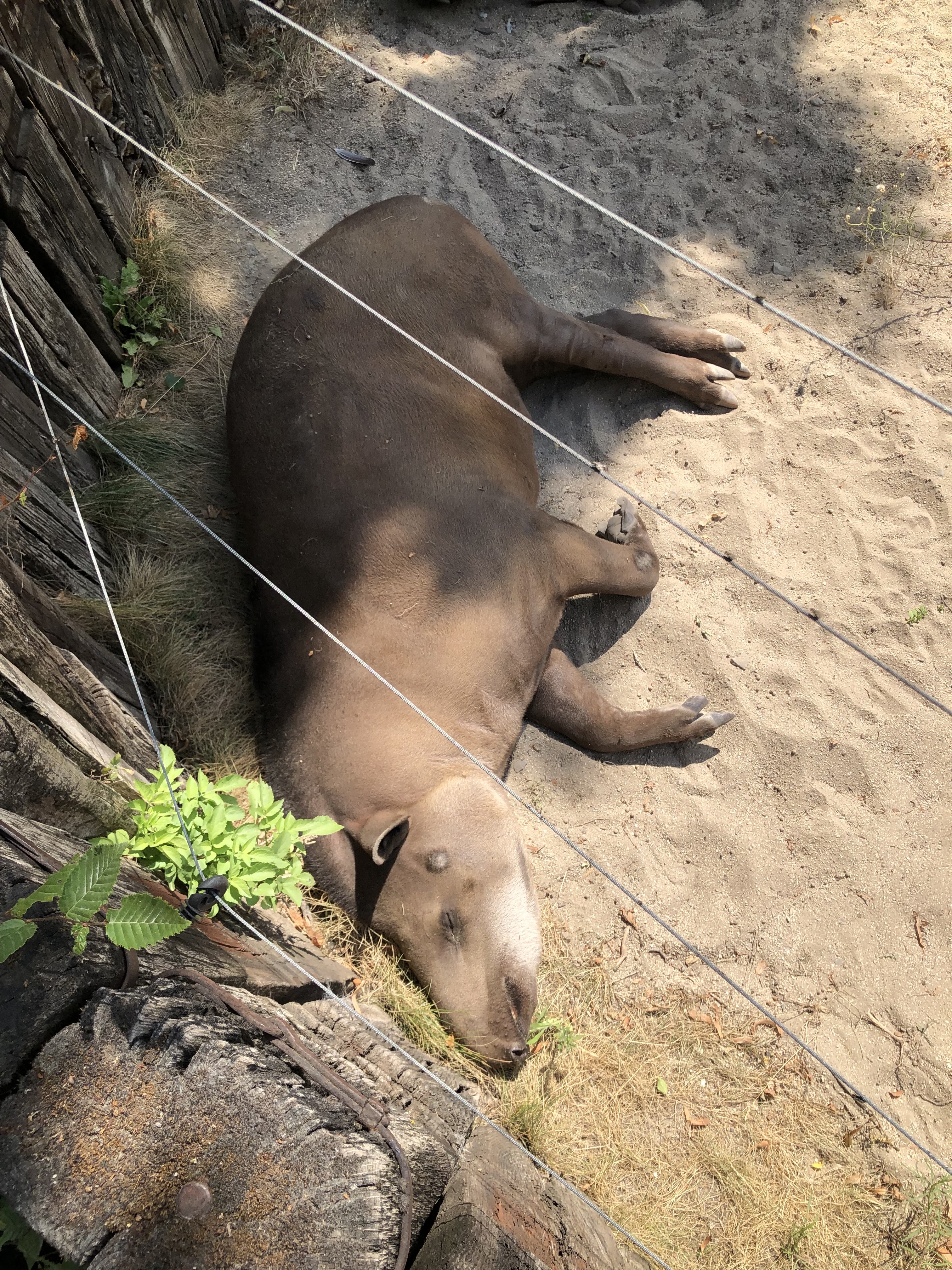 Photo n° 1 de l'avis de Adèle.u fait le 08/08/2022 à 13:07