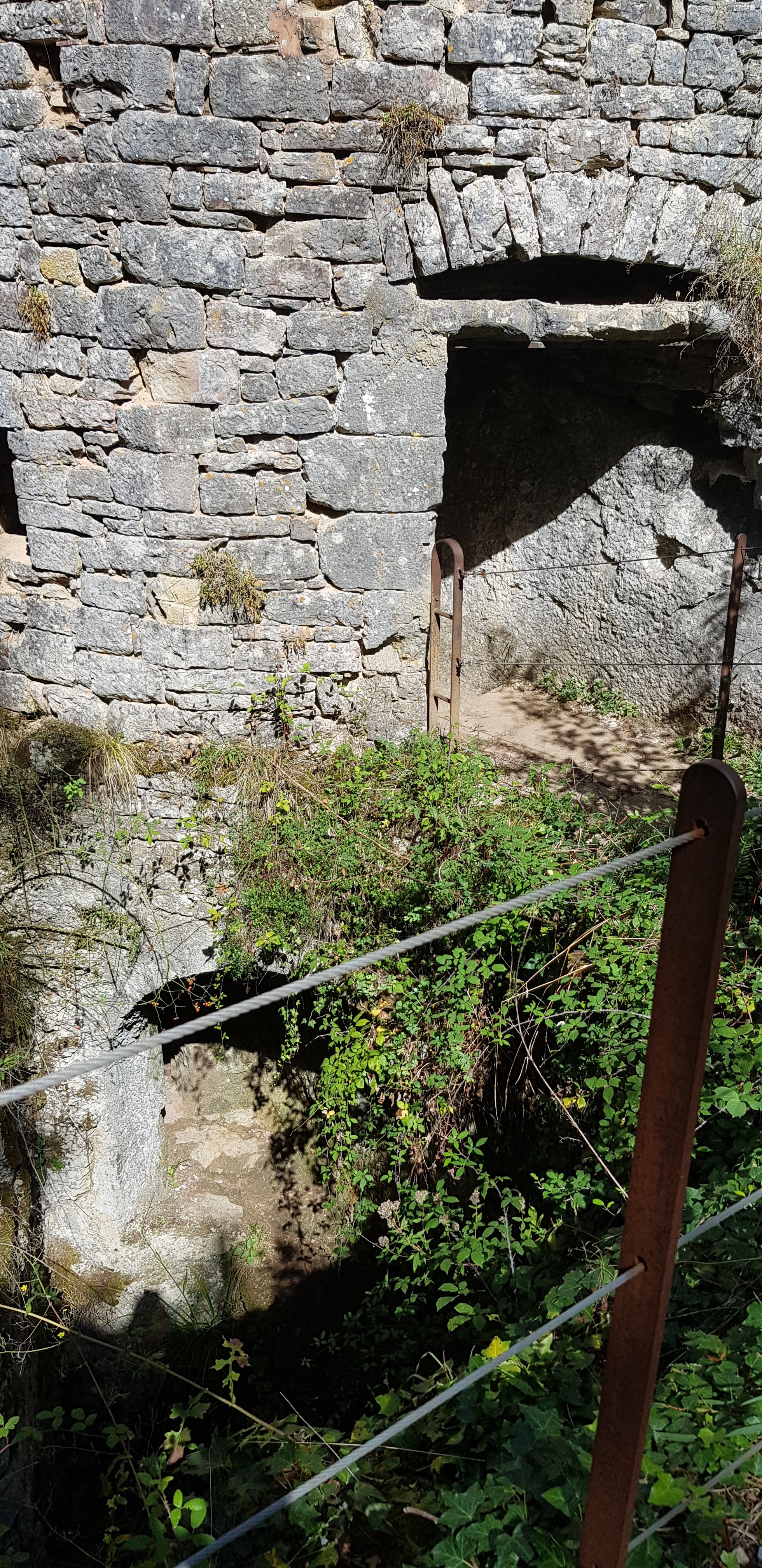Photo n° 5 de l'avis de jean-marc.e fait le 13/10/2023 à 12:03