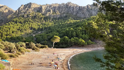 Platja Tuent'in fotoğrafı ve güzel manzarası