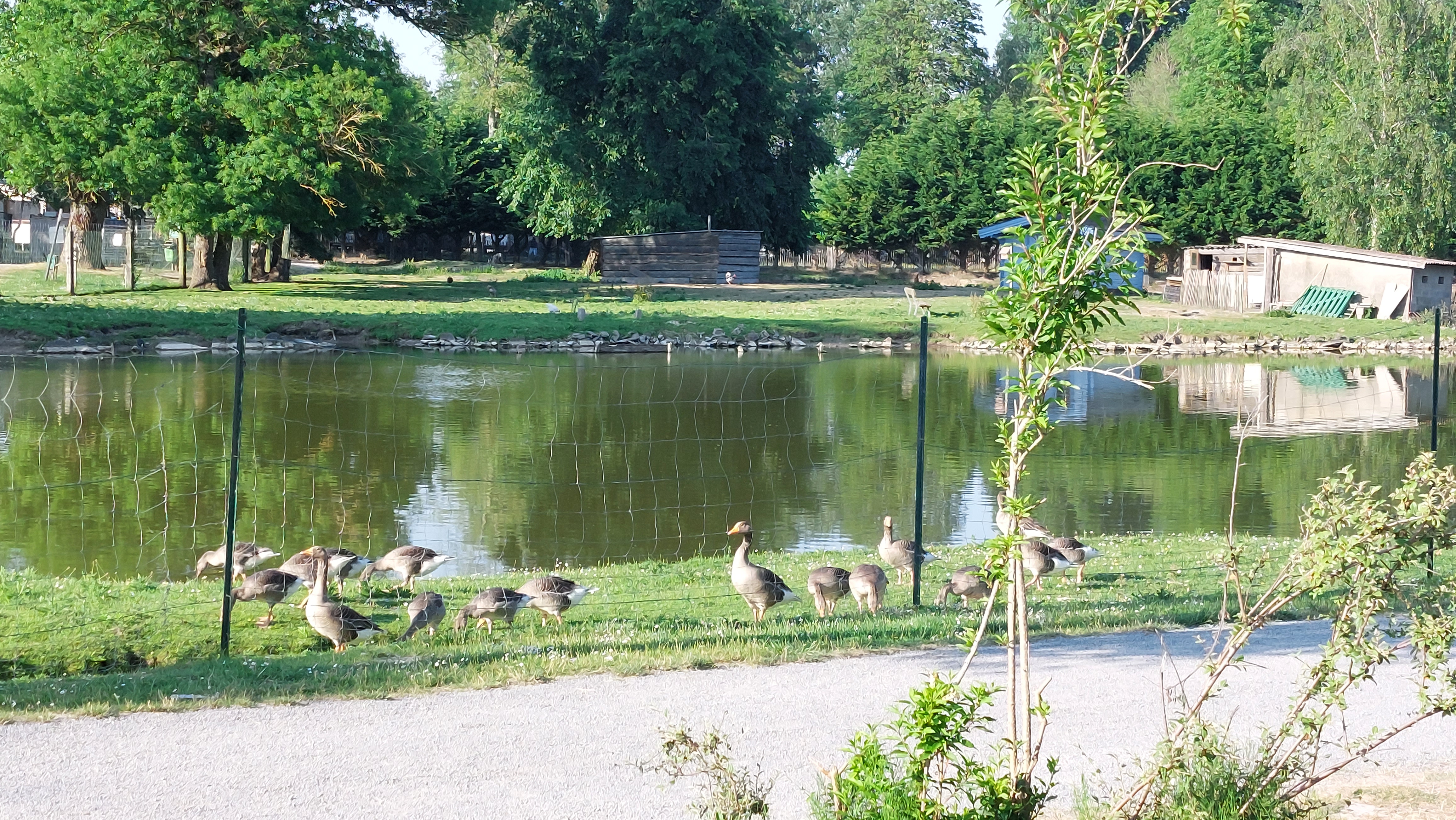 Photo n° 4 de l'avis de Marie.e fait le 13/06/2023 à 18:59