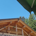 Photo n°3 de l'avis de Fabrizio.a fait le 02/06/2020 à 18:27 sur le  Malga Cislon à Truden im Naturpark