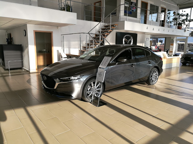 Calea Zimandului km5+200, Arad 310206