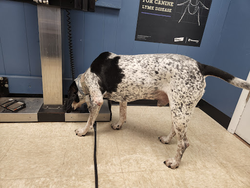 4276 NY-41, Greene, NY 13778, USA