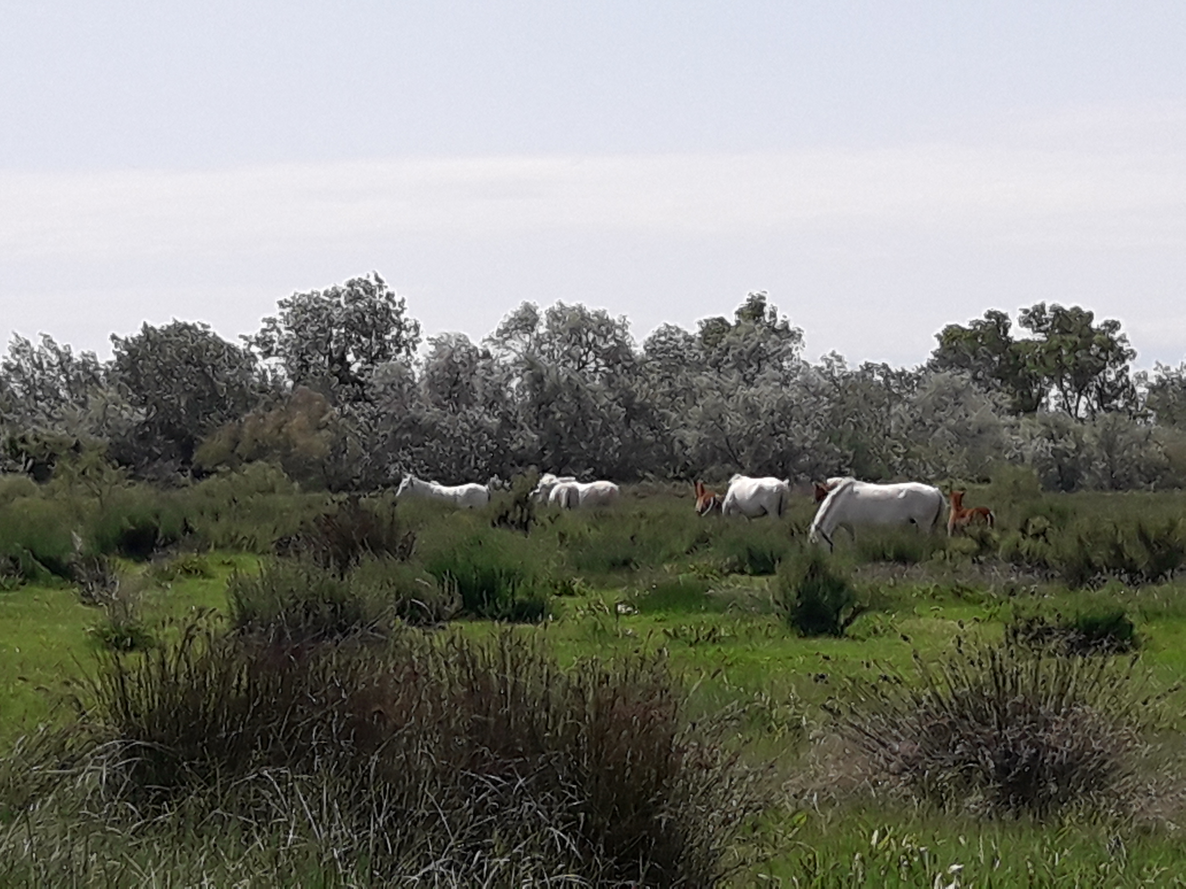 Photo n° 10 de l'avis de Mireille.o fait le 07/05/2018 à 14:34