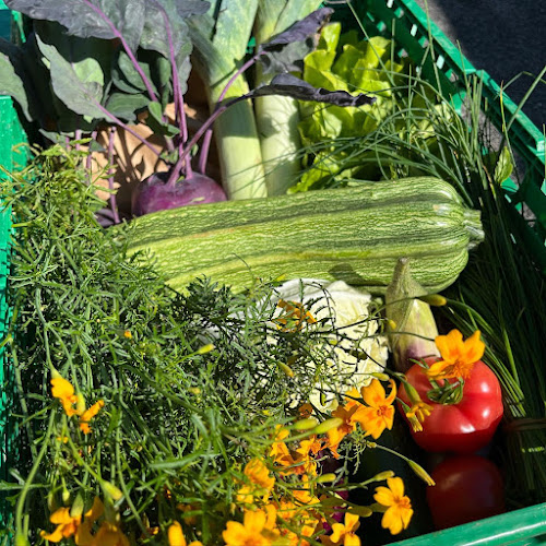 Rezensionen über Grüezi Garte in Zug - Gartenbauer