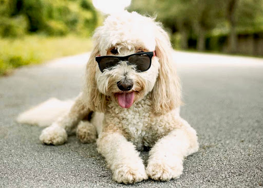 1404 S Bumby Ave, Orlando, FL 32806, USA