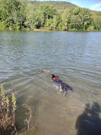 Nature Preserve «Great Flats Nature Trail», reviews and photos, W Campbell Rd, Schenectady, NY 12306, USA